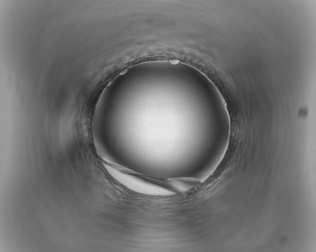 X0000090481490200707272308