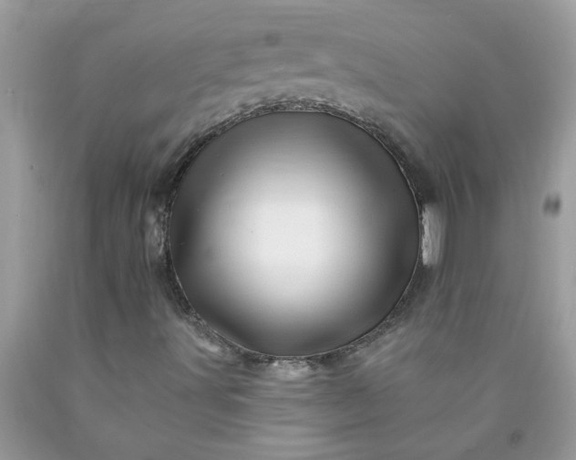 X0000090481491200707272308