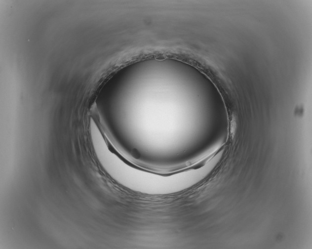 X0000090481492200707272308