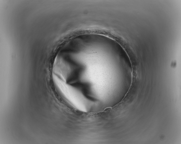 X0000090481493200707272308