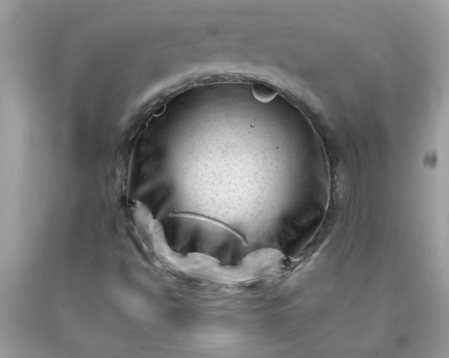 X0000090481494200707272308