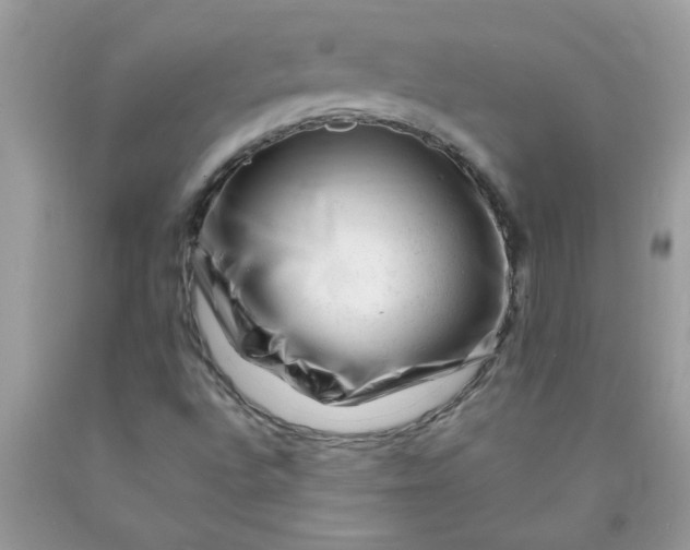 X0000090481496200707272308