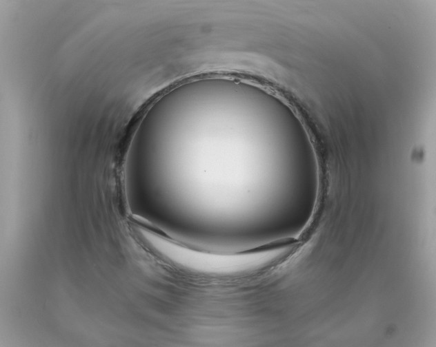 X0000090481497200707272308