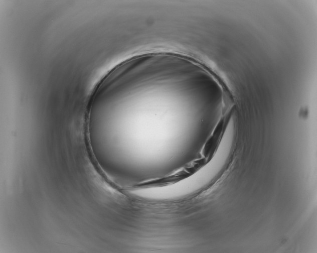 X0000090481500200707272308