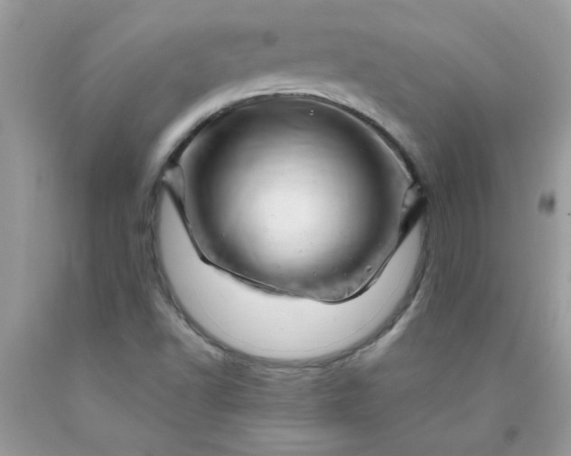 X0000090481502200707272308