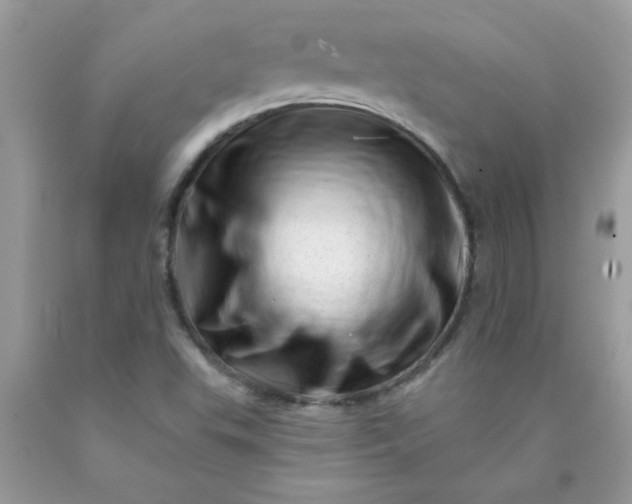 X0000090481503200707272308