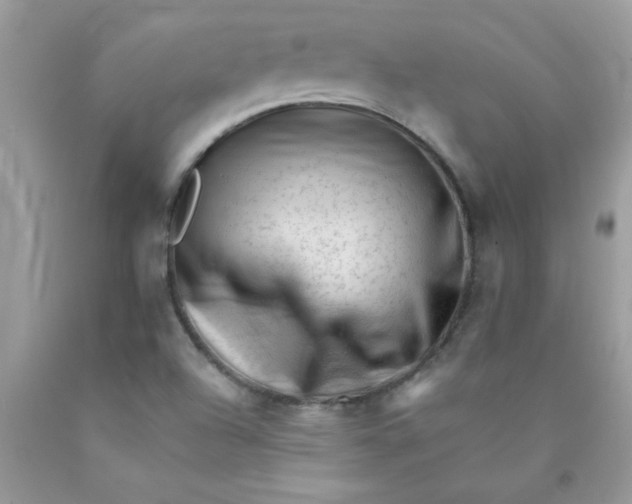 X0000090481504200707272308