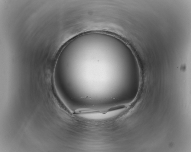 X0000090481505200707272308