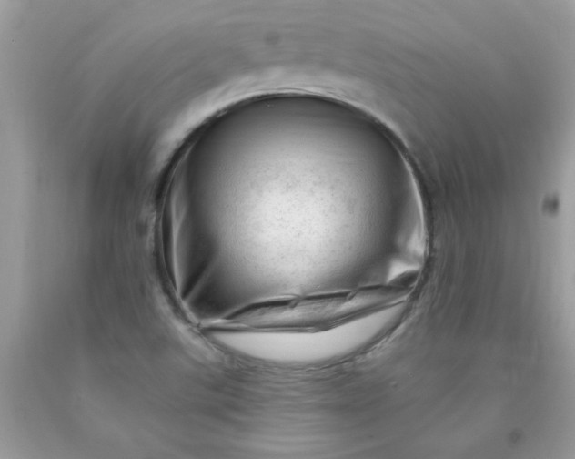 X0000090481507200707272308