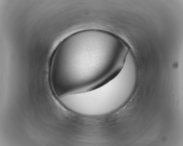 X0000090481508200707272308