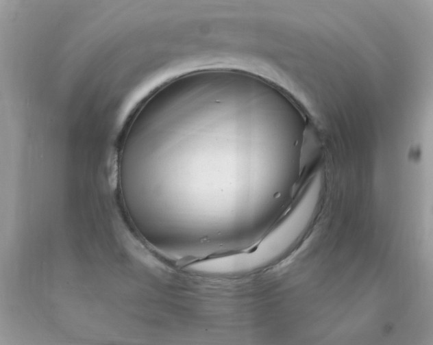 X0000090481510200707272308