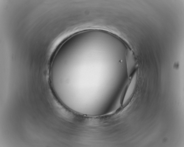 X0000090481511200707272308