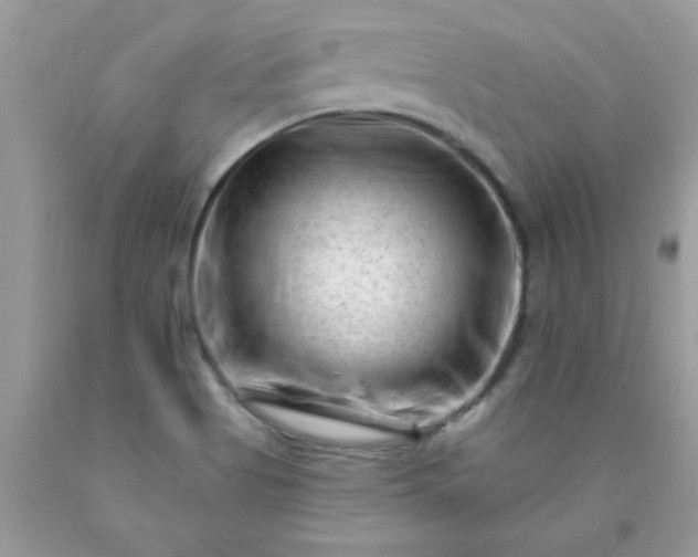 X0000090481513200707272308