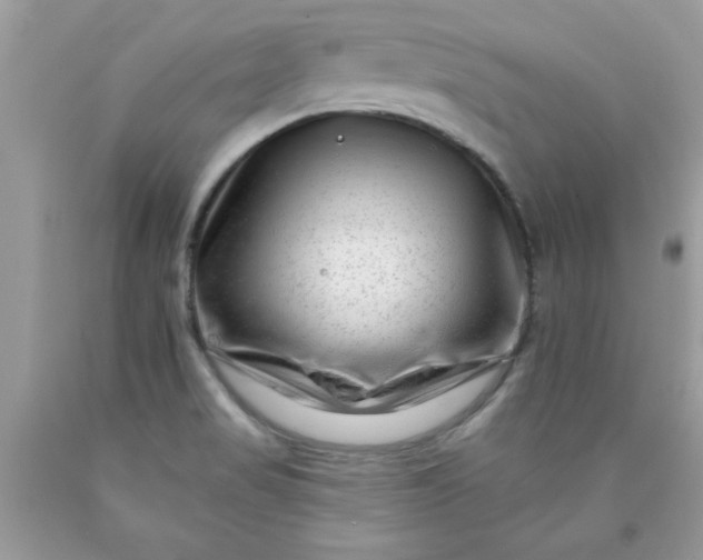 X0000090481517200707272308