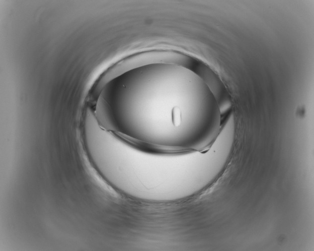 X0000090481518200707272308