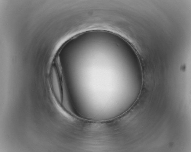 X0000090481519200707272308