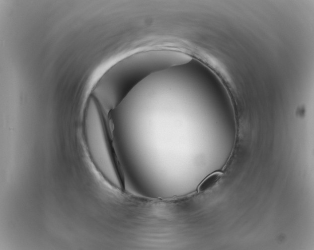 X0000090481520200707272308