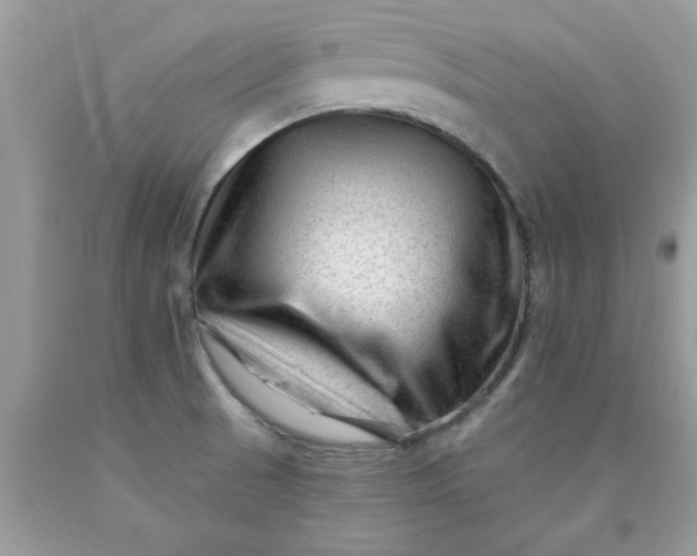 X0000090481521200707272308