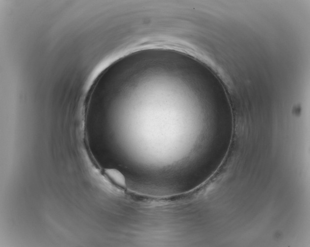 X0000090481522200707272308