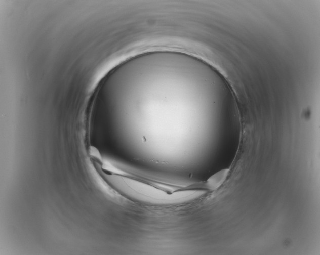 X0000090481523200707272308