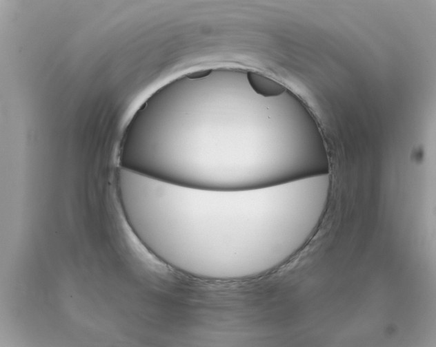 X0000090481524200707272308