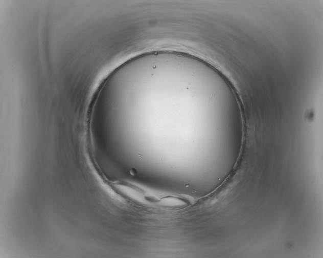 X0000090481525200707272308