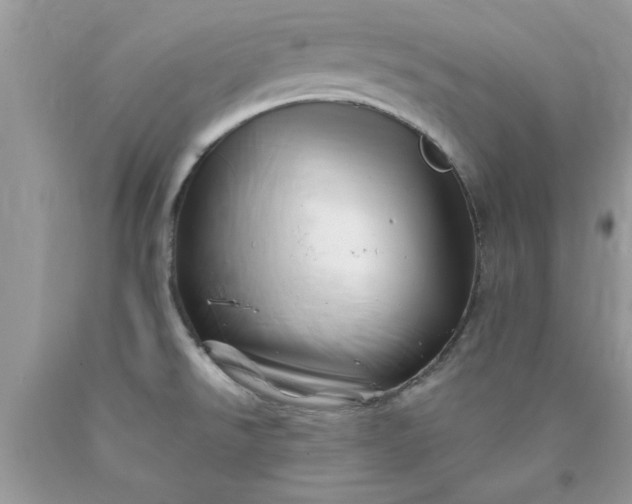 X0000090481526200707272308