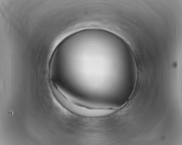 X0000090481527200707272308