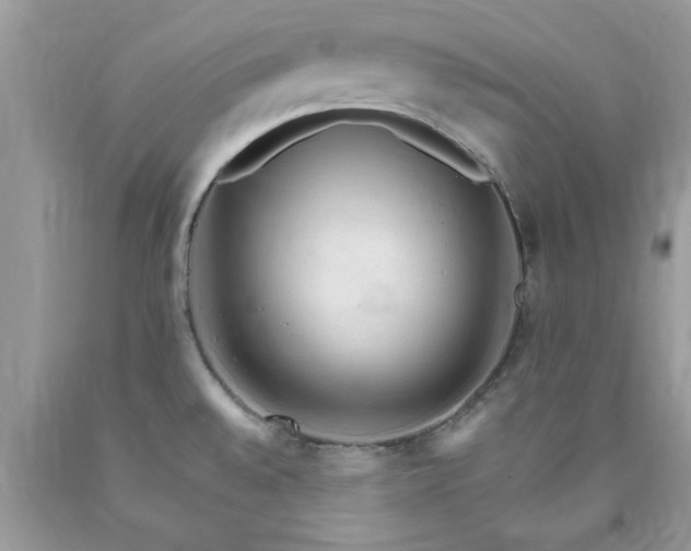 X0000090481528200707272308