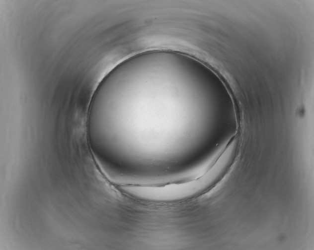 X0000090481529200707272308