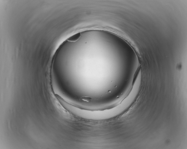 X0000090481530200707272308