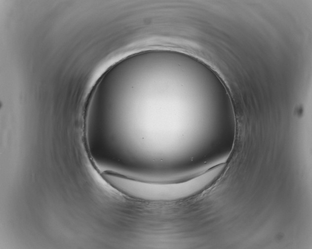 X0000090481531200707272308