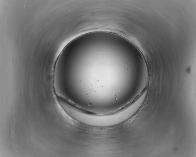 X0000090481532200707272308