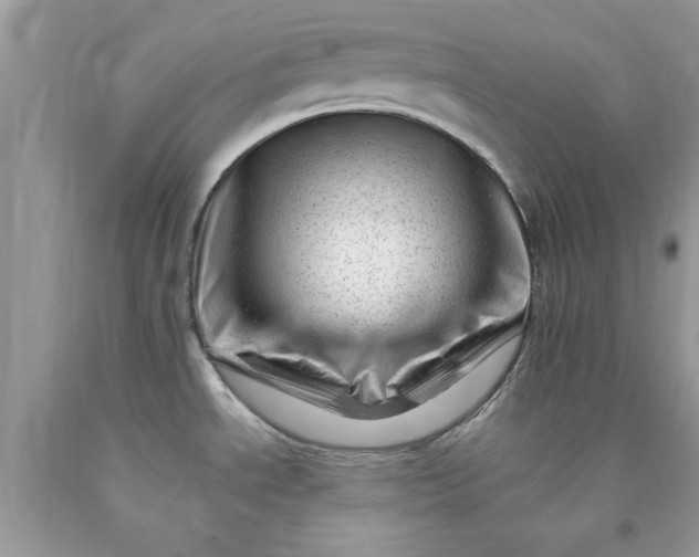 X0000090481534200707272308