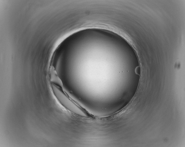 X0000090481536200707272308