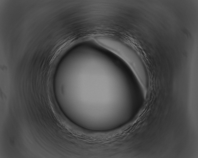 X0000090480001200708031135