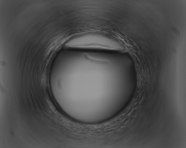 X0000090480002200708031135