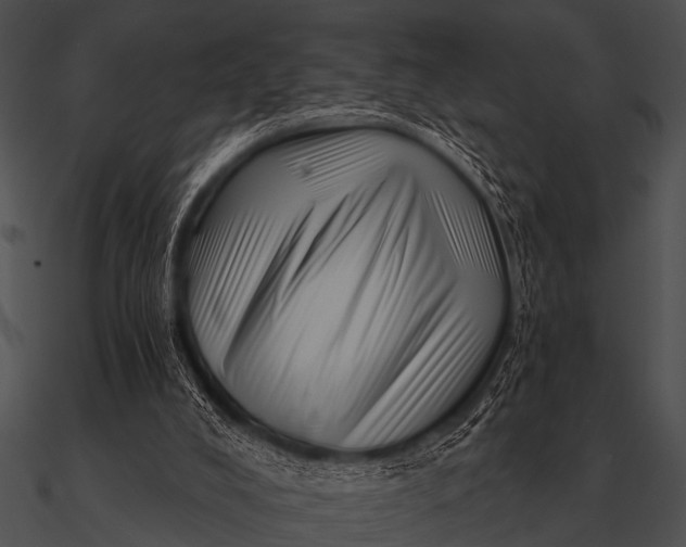 X0000090480008200708031134