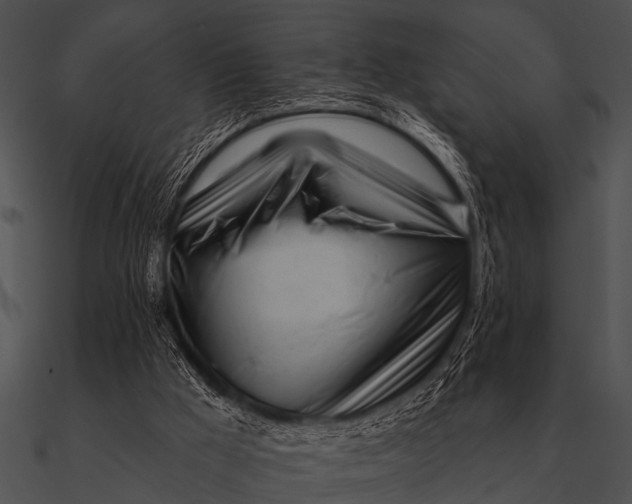 X0000090480009200708031134