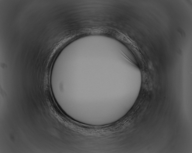 X0000090480012200708031134