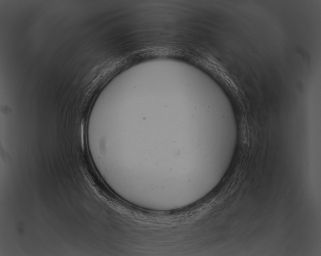 X0000090480014200708031134