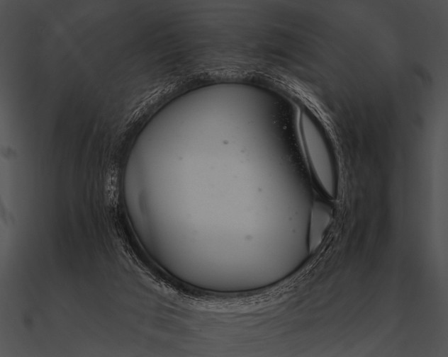 X0000090480017200708031134