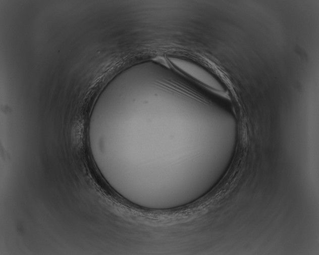 X0000090480018200708031134