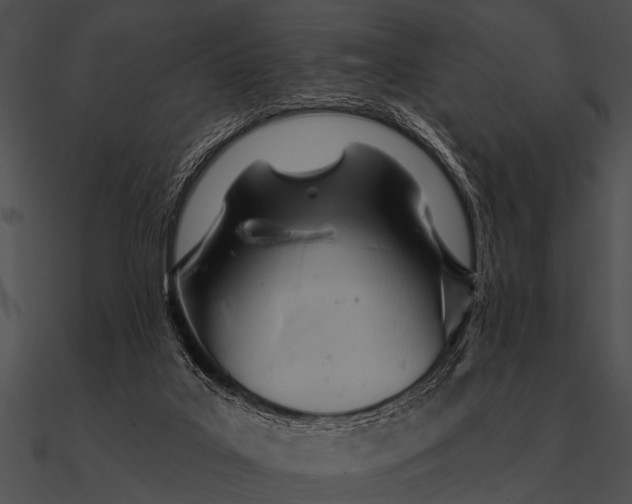 X0000090480019200708031134