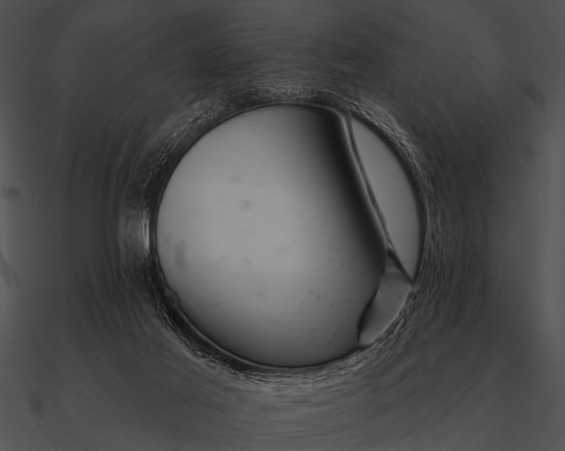 X0000090480021200708031134
