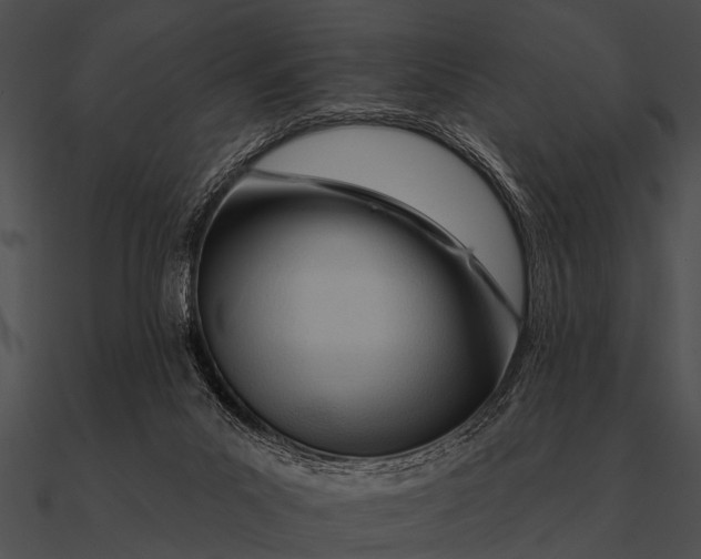 X0000090480023200708031134