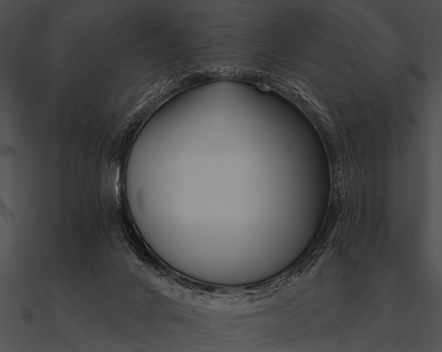 X0000090480024200708031134