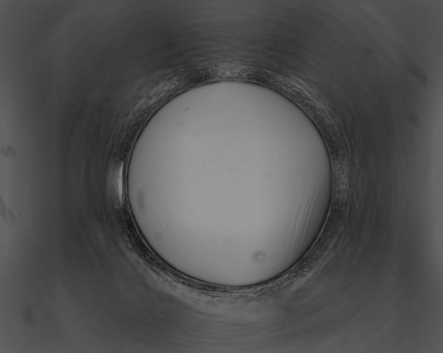 X0000090480028200708031134