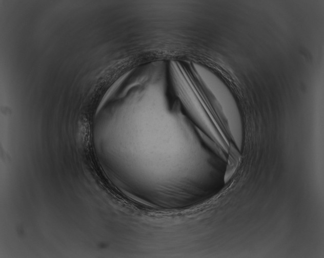 X0000090480029200708031134