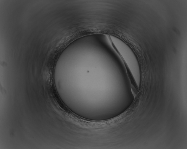 X0000090480031200708031134